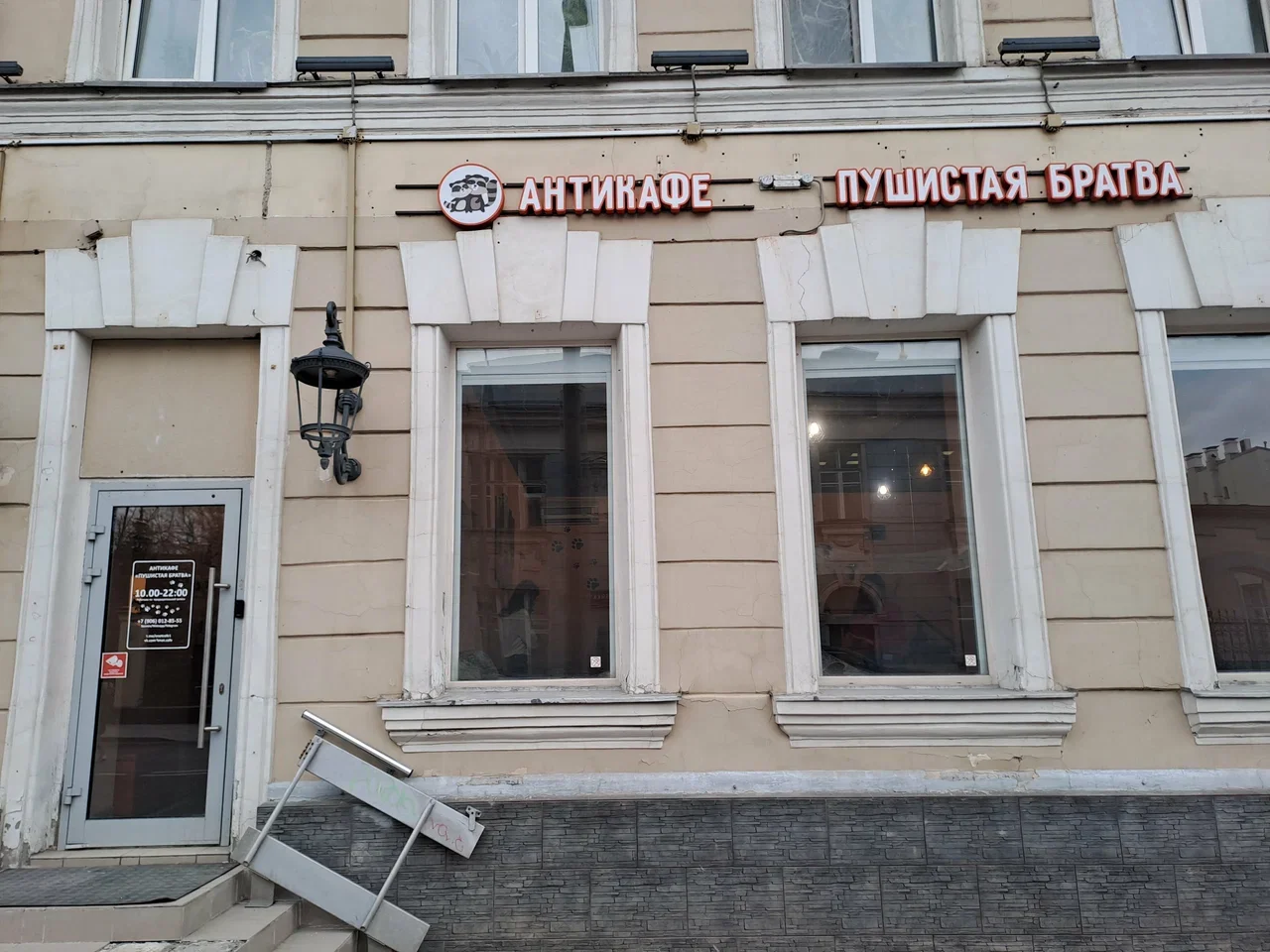 Фото Антикафе "Пушистая братва" - развлечение в Москве | Досугатор